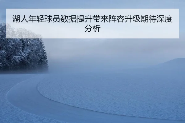 湖人年轻球员数据提升带来阵容升级期待深度分析